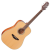 TAKAMINE GD20-NS