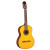 TAKAMINE G124