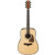IBANEZ IBANEZ AW500 NT AC. GUITAR