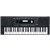 Kurzweil KP100