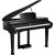 Kurzweil KAG-100 EP