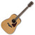 IBANEZ AVD9 NT