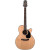 TAKAMINE EG460SC