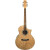 IBANEZ EW20ASE-NT