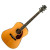 FENDER PM-1 PARAMOUNT STANDARD DREADNOUGHT NAT
