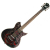 Washburn WI66 ANCK