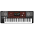 KORG PA700-OR
