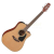 TAKAMINE P1DC