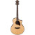IBANEZ AEW22CD NT