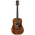 IBANEZ AW54JR OPN