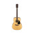 IBANEZ IBANEZ AW70 NT