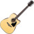 IBANEZ IBANEZ AW70ECE NT
