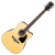 IBANEZ AW70ECE NT