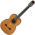 IBANEZ G500 NT