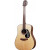 TAKAMINE G320S