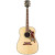 GIBSON DOVES IN FLIGHT DREADNOUGHT LIMITED EDITION