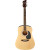 Jay Turser JJ45 PAK N