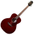 TAKAMINE EG430S-WR