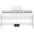 KORG B1SP-WH