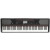 KORG HAVIAN 30