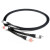 CHORD Signature Tuned ARAY 2RCA to 2RCA 1m