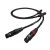 CHORD Signature Tuned ARAY 2XLR to 2XLR 1m