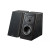 SVS Prime Elevation Black Ash