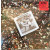 AREA - ARE(A)ZIONE 2020 (19439785781, Red) SONY MUSIC/EU MINT (0194397857818)