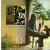 LP2 Pink Floyd: Ummagumma