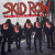 Skid Row - The Gang s All Here Vinyl LP