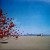 Cranberries - Wake Up And Smell The Coffee 2023 (4885851) Geffen Records/eu Mint (0602448858511)
