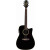 TAKAMINE EG531SSC