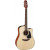 TAKAMINE P2DC