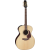 TAKAMINE P5J