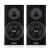 Audio Physic Classic 3 BLACK Ash