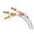Supra XL ANNORUM BIWIRE COMBICON 2x3M