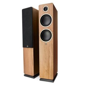 Argon Audio Fenris Active 55 Walnut