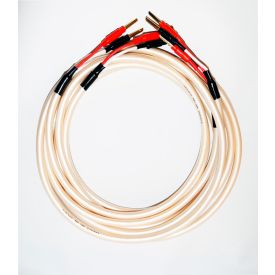 Atlas Equator 2.0 MK II 2 x 2.5 м с бананами Z Gold plugs