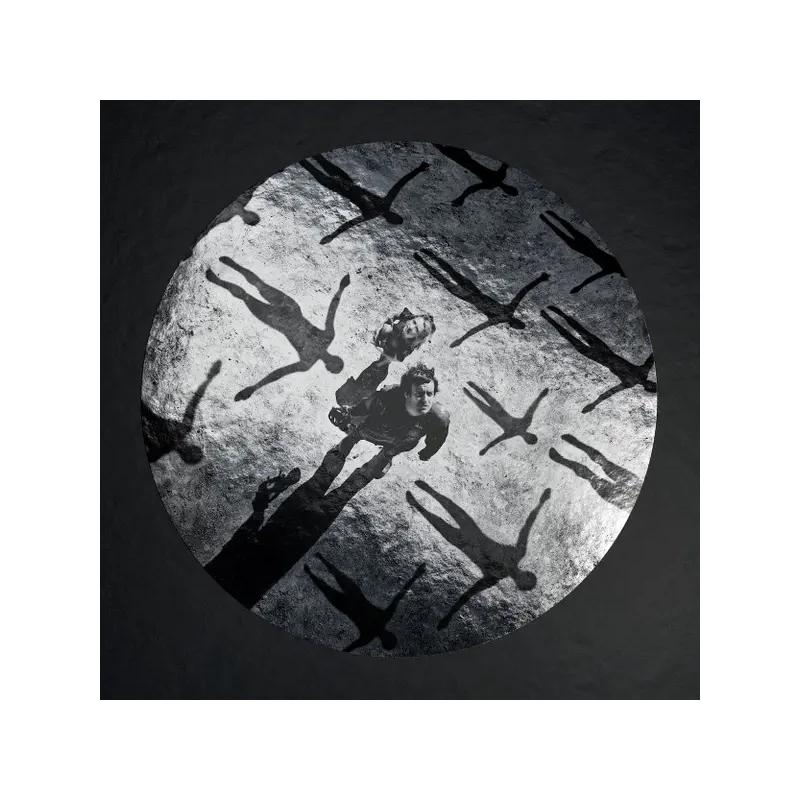Вінілова платівка LP5 Muse: Absolution - Xx Anniversary - Silver ...