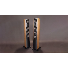 Scansonic MB 5 B Walnut matt