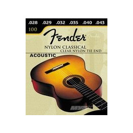 FENDER 100