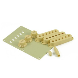 FENDER STRATOCASTER ACCESSORY KIT