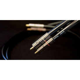 Atlas Hyper Digital (RCA-RCA) 1m