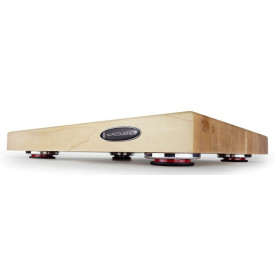 IsoAcoustics DELOS 1815M1