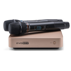 Караоке-система для дома EVOBOX Plus [Gold] + микрофоны SE 201D