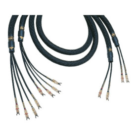 Kimber Kable BiFocal X 10 F 3.0m с наконечниками WBT-0610 CU