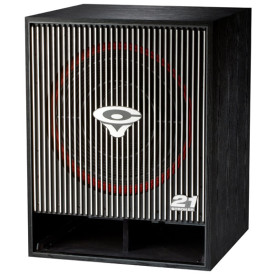 Cerwin-Vega CVHF-A21S