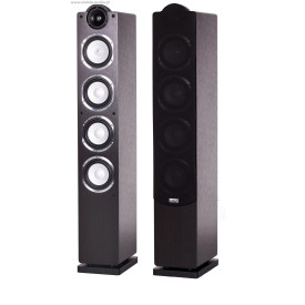 Taga Harmony Platinum F-90 SL WENGE