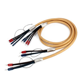 Van Den Hul Cumulus Hybrid Bi-Amping - 3