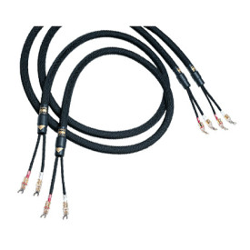 Kimber Kable Monocle X 10 F 3.0m с наконечниками WBT-0610 CU